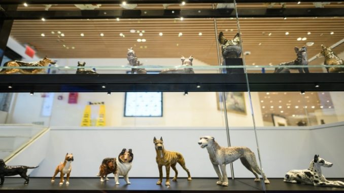 Nova York inaugura um novo museu dedicado aos cachorros 