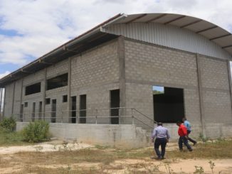 Abatedouro estrutura cadeia produtiva da avicultura na Bahia e garante maior qualidade do frango