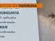 Itaperuna, RJ, tem 943 casos confirmados de chikungunya e investiga 3.121 casos suspeitos