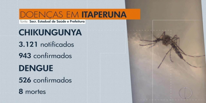 Itaperuna, RJ, tem 943 casos confirmados de chikungunya