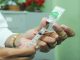 Primeiro caso de H1N1 em 2019 é confirmado em Campos, no RJ