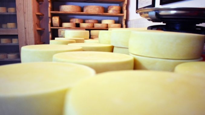 Proteínas, minerais e vitaminas: queijo traz benefícios para saúde, mas exige cuidados 