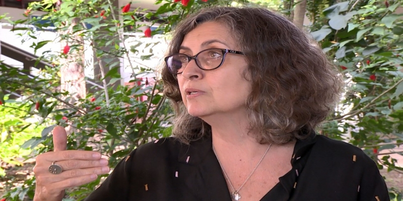 A professora e economista Eliane Navarro Rosandiski durante entrevista à EPTV  — Foto: Vaner Santos/EPTV