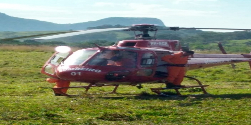 Helicóptero do Corpo de Bombeiros foi usado para resgatar o cachorro em Conceição de Macabu, no RJ — Foto: Élida Braga/Arquivo pessoal