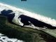 Universitários de Macaé, RJ, farão mutirão de limpeza em praia pelo Dia Mundial dos Oceanos