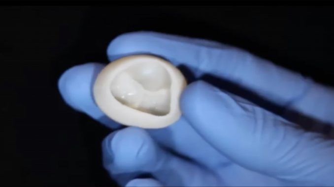 Cientistas dos EUA imprimem válvula de coração 3D feita de colágeno 