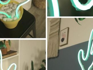 Como fazer Luminária Cacto Neon com Mangueira de LED