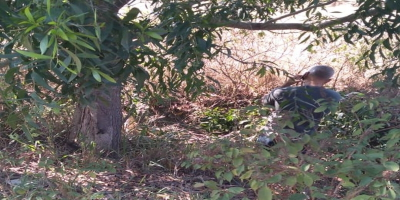 Corpo do homem foi encontrado no meio de um matagal às margens da BR 101, em Campos — Foto: Reprodução/NF Notícias