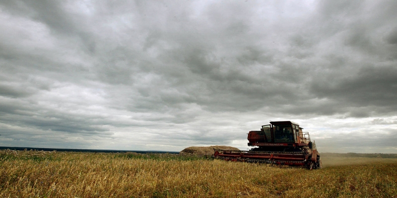 Russian Village Struggles With Agricultural Economy
