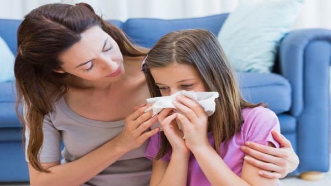 Alergias – Saiba eliminar mofo e poeira da casa e afastar Alergias