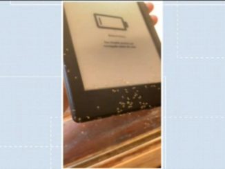 'Me sinto na obrigação de ler', diz escritora que teve Kindle invadido por formigas que 'compram' livros