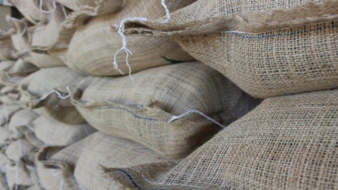 Empresa de RO investe mais de R$ 10 mil em cafés de qualidade durante leilão da Abic 