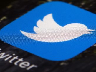Twitter tem nova leva de demissões e chefe de políticas públicas deixa a empresa
