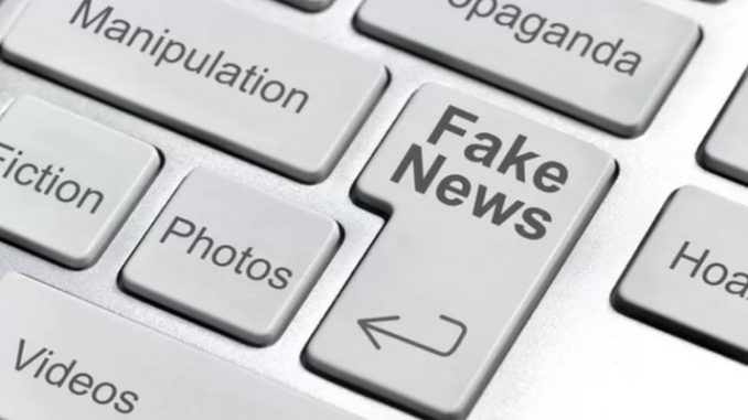 'Como combater as fake news?': As perguntas sobre notícias falsas mais buscadas no Brasil nos últimos 12 meses 