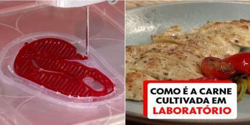 Saiba como é feita a carne cultivada em laboratório; processo envolve impressora 3D