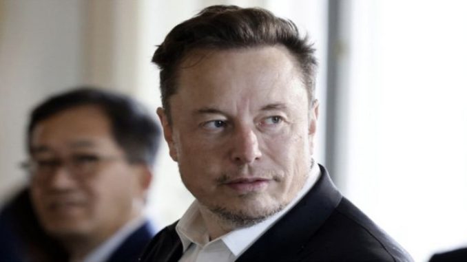 As declarações enganosas ou falsas compartilhadas no Twitter por Elon Musk 