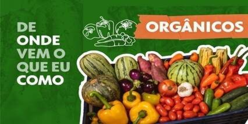 De onde vem os alimentos orgânicos