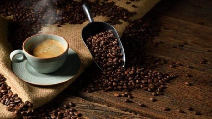 'Café alterou curso da História e fomentou ideias do iluminismo e do capitalismo', diz pesquisador 