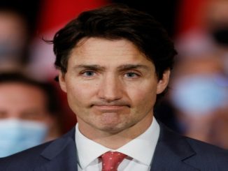 Meta coloca lucro à frente da segurança ao bloquear notícias sobre incêndios florestais, diz Trudeau