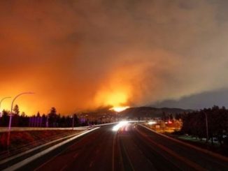 Meta gera indignação no Canadá por bloquear notícias em meio à crise de incêndios florestais