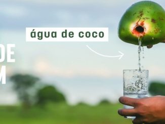 Água de coco não é tudo igual: veja quais tipos podem ser comercializados no Brasil