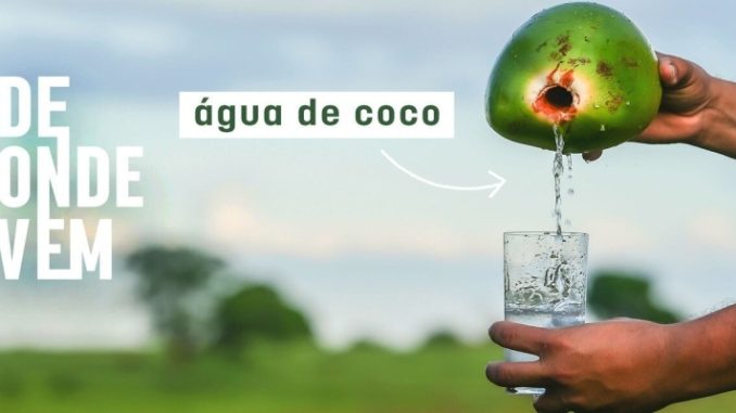 Água de coco não é tudo igual: veja quais tipos podem ser comercializados no Brasil 