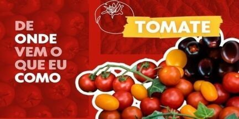 De Onde Vem o tomate