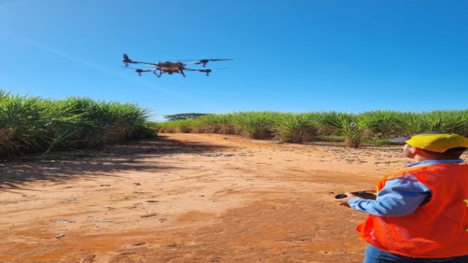 Piloto de drone é uma das profissões em alta em 2024; veja como são as oportunidades no agro 