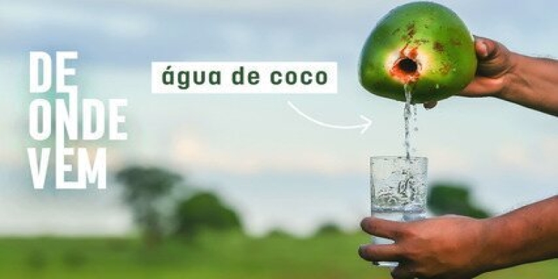 Água de coco não é tudo igual: veja quais tipos podem ser comercializados no Brasil
