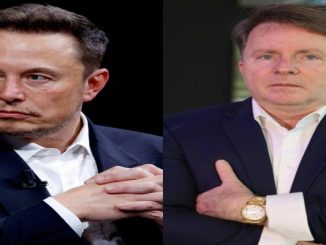 'Elon Musk brasileiro' quer lançar 1º carro elétrico 100% nacional em 2024: 'Me arrisquei em um negócio louco'