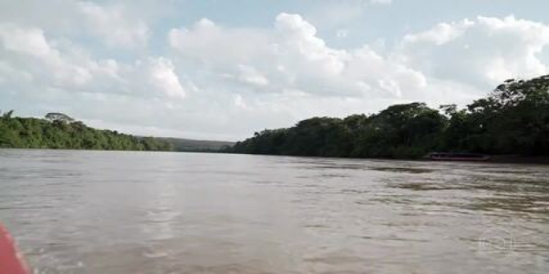 Plantas aquáticas transformam rio na Colômbia em ‘arco íris líquido’ com cinco cores